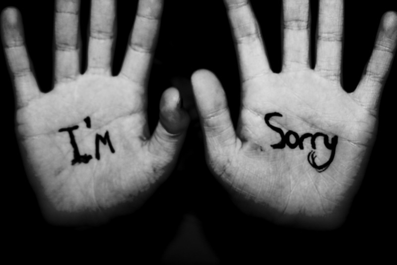 im-sorry_Easy-Translation-Services