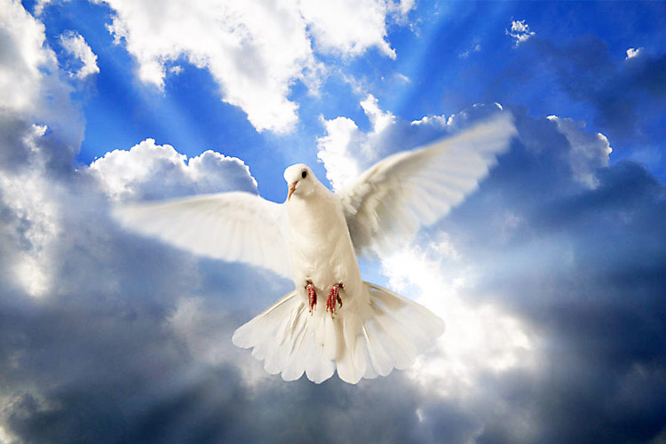 spirit_750x500